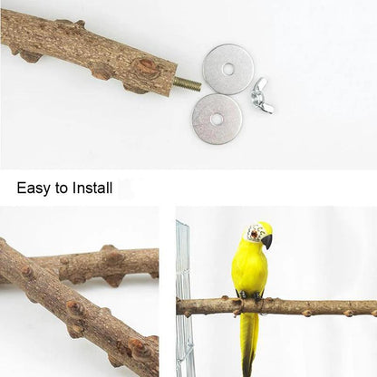 Natural Spiky Wood Perch