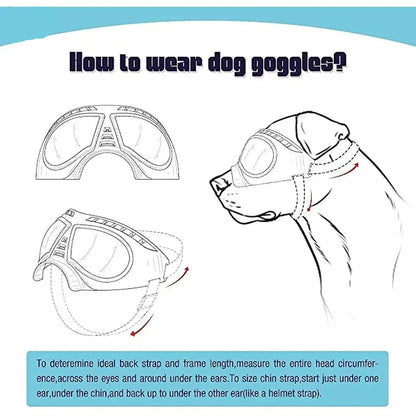 Large Breed Dog Goggles