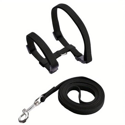 Adjustable Pet Harness & Leash