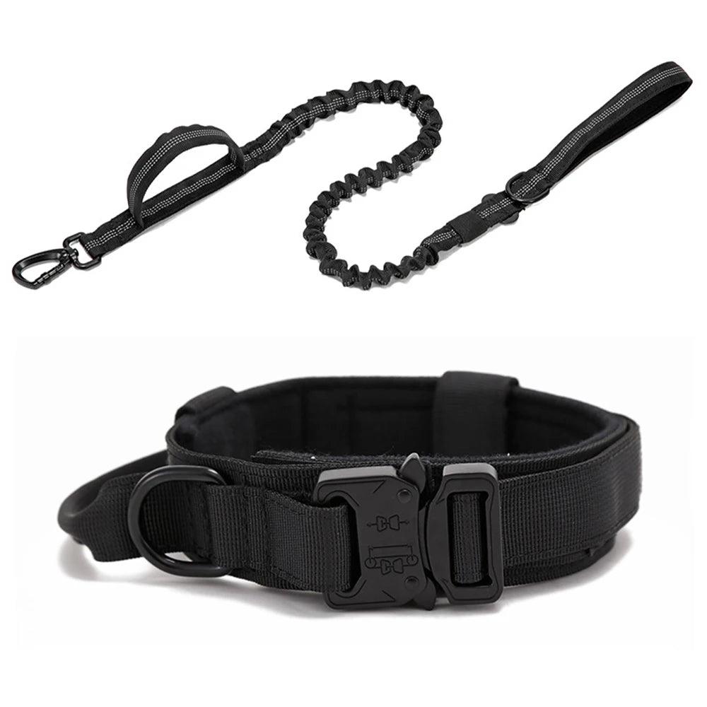 Durable Dog Collar & Leash