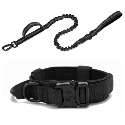 Durable Dog Collar & Leash