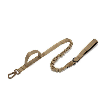 Durable Dog Collar & Leash