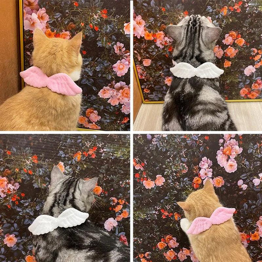 Angel Wing Cat Collar