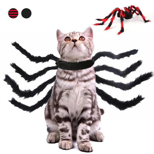Halloween Bat Wings Pet Costume