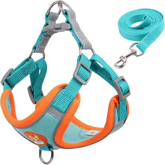 Reflective Pet Harness & Leash