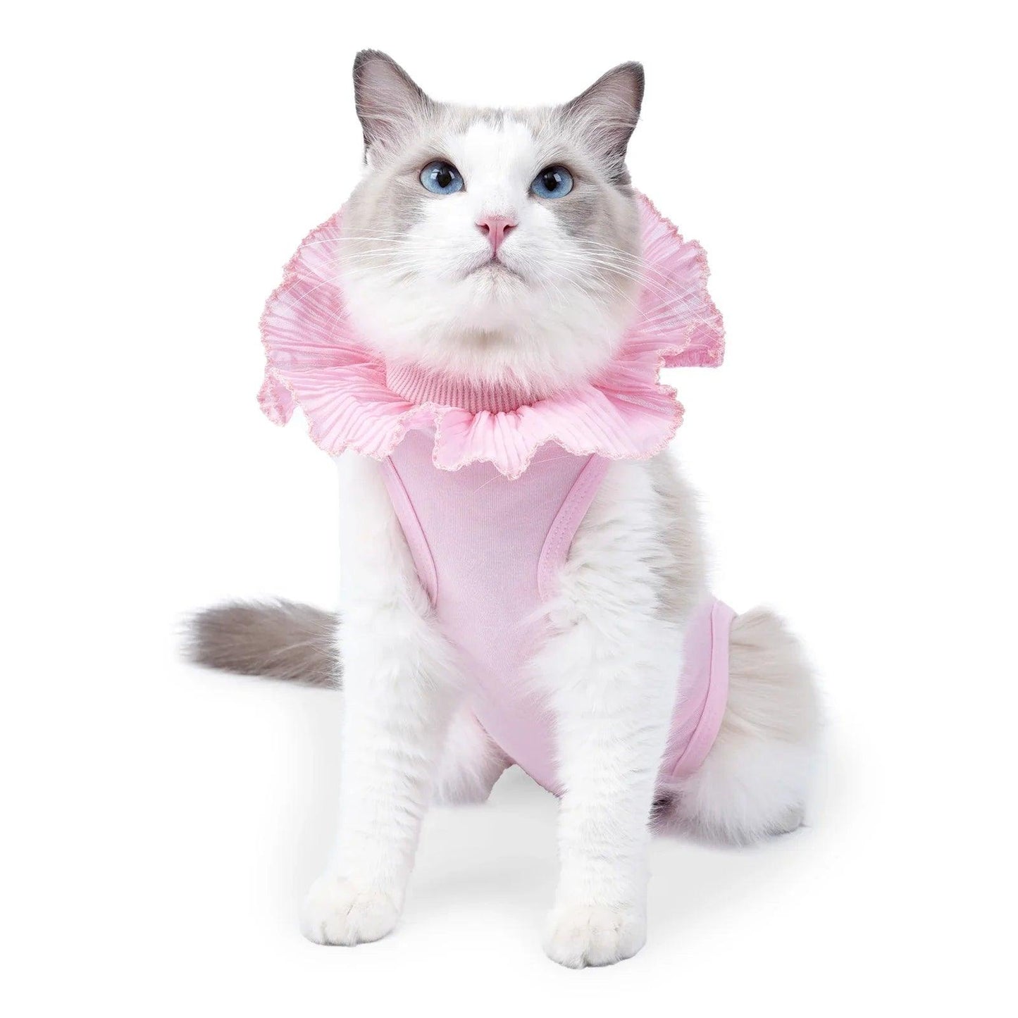 Cat Post-Surgery Recovery Suit