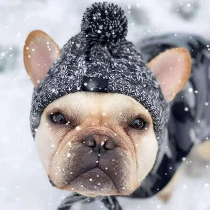 Winter Warm Dog Hat