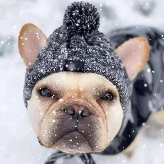 Winter Warm Dog Hat