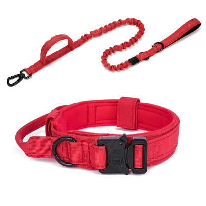 Durable Dog Collar & Leash
