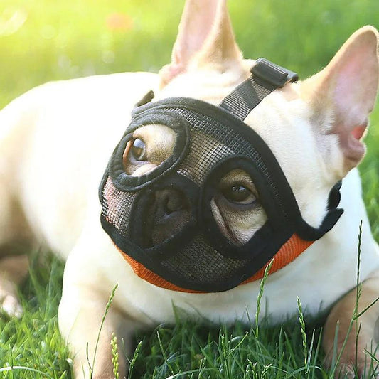 Adjustable French Bulldog Muzzle