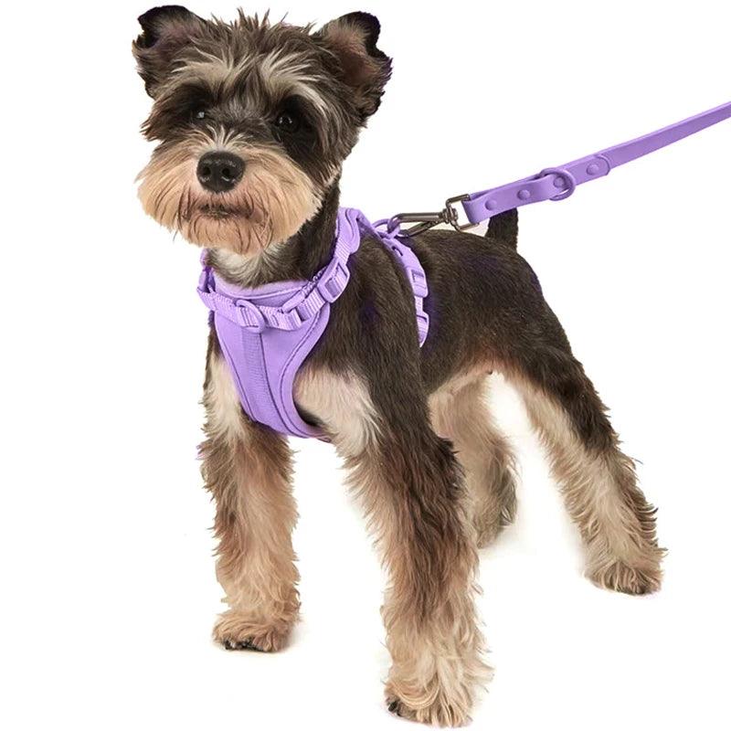 Purple Dog Collar & Leash Set