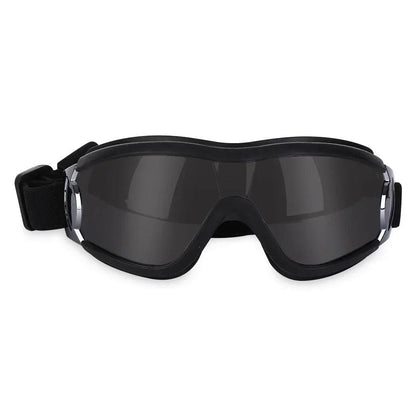 Anti-Fog Dog Ski Goggles