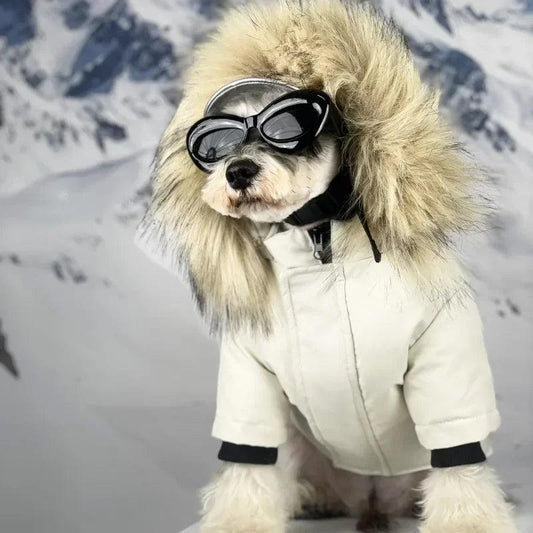 Cozy Winter Dog Jacket