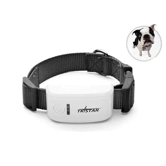 Waterproof Pet GPS TrackerDescription:

Never lose your furry friend again! This waterproof GPS tracker keeps your pet safe with real-time tracking, so you always know their location via a frRegal Pet PalaceRegal Pet PalaceWaterproof Pet GPS Tracker