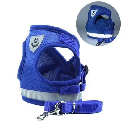 Adjustable Pet Harness & Leash