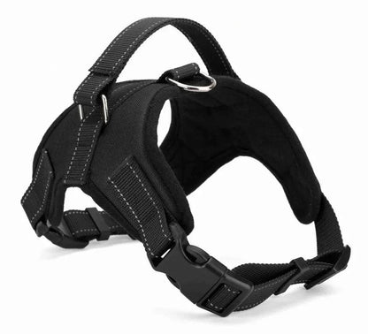 Quick-Release Dog Harness