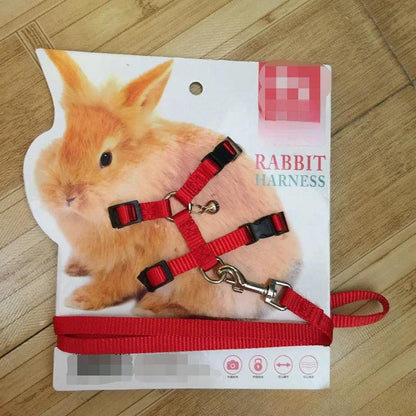 Adjustable Pet Harness & Leash
