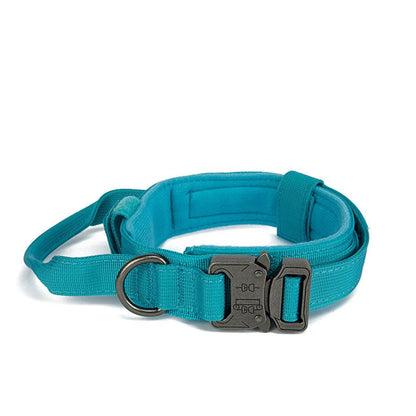 Durable Dog Collar & Leash