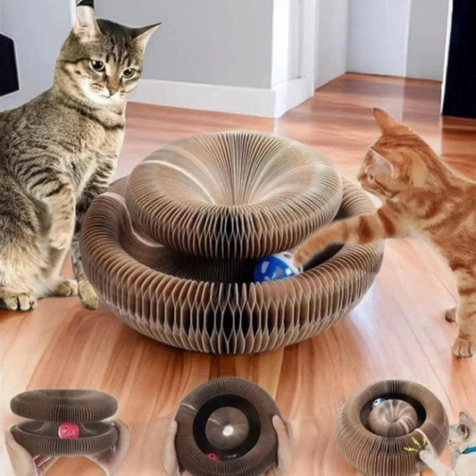 Magic Cat Scratch ToyDescription:
Transform your cat's playtime! This magic scratching toy combines a round corrugated board with a ball for hours of fun, while also keeping your cat's cRegal Pet PalaceRegal Pet PalaceMagic Cat Scratch