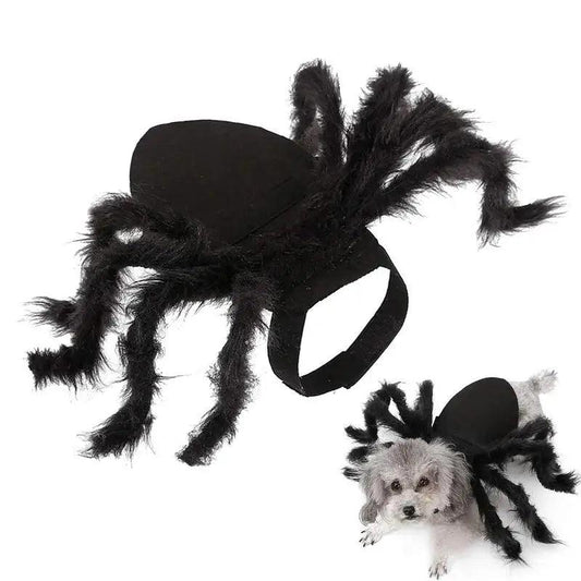 Spooky Spider Pet Costume