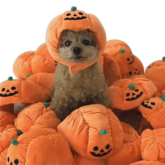 Halloween Pumpkin Pet Hat