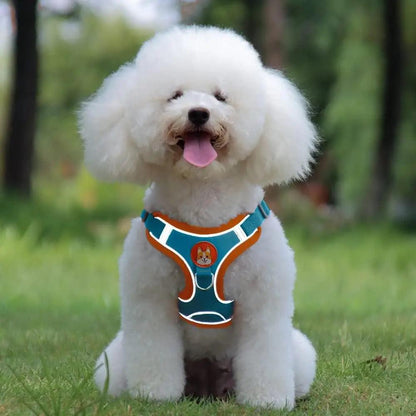 Reflective Pet Harness & Leash