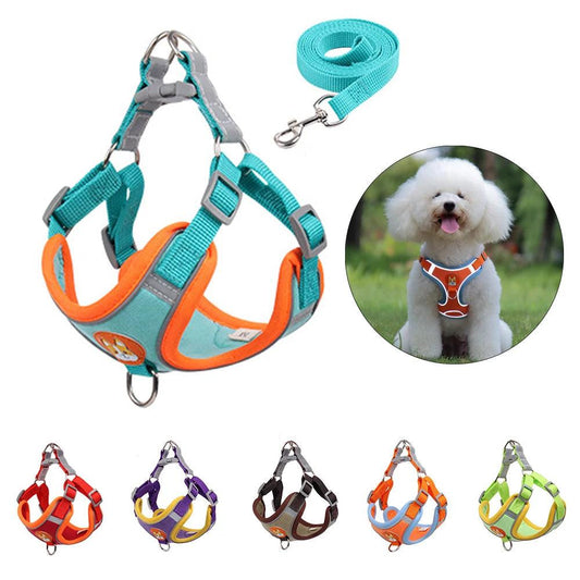 No Pull Dog Harness Set