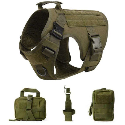 Tactical Dog Harness SetDescription:

Gear up your dog for any adventure with this military-style harness! Perfect for training and outdoor activities, it provides comfort, control, and durRegal Pet PalaceRegal Pet PalaceTactical Dog Harness