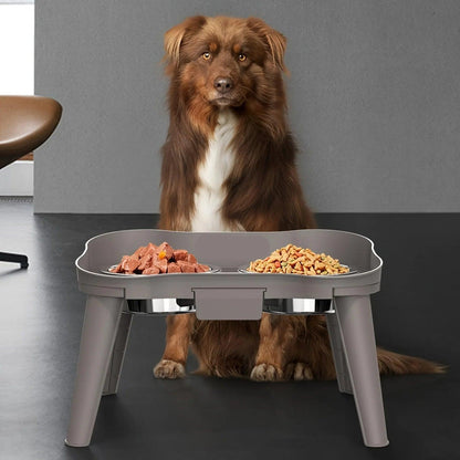 Elevated Dog Feeding Bowls