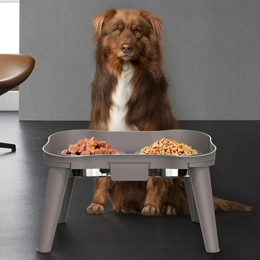 Elevated Dog Feeding Bowls