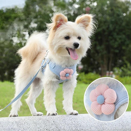 Adjustable Dog Harness & Leash