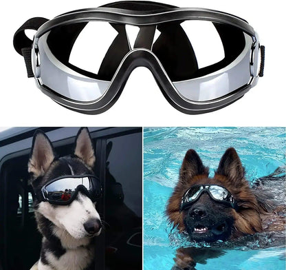 Anti-Fog Dog Snow Goggles