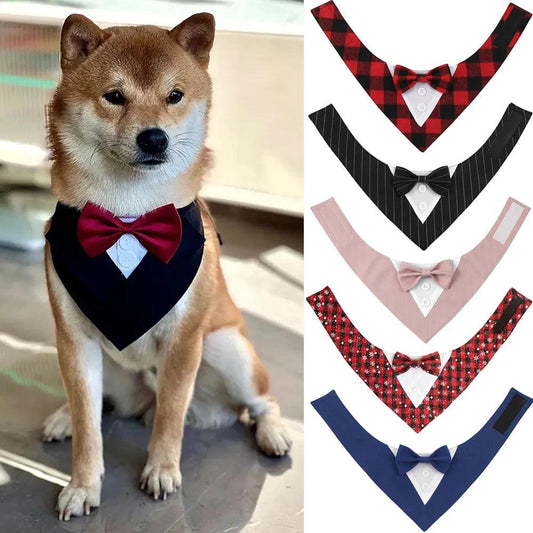 Handsome Dog Bow Tie