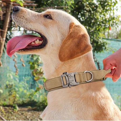 Durable Dog Collar & Leash