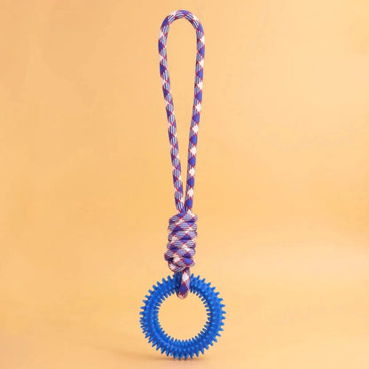 Spiked Ring Dog Training Toy