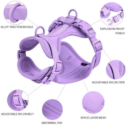 Purple Dog Collar & Leash Set