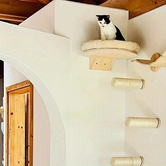 Wall-Mounted Cat Climbing LadderDescription:

Give your cat the ultimate climbing adventure with this stylish wall-mounted ladder and hammock combo. Perfect for active cats who love to explore and Regal Pet PalaceRegal Pet PalaceWall-Mounted Cat