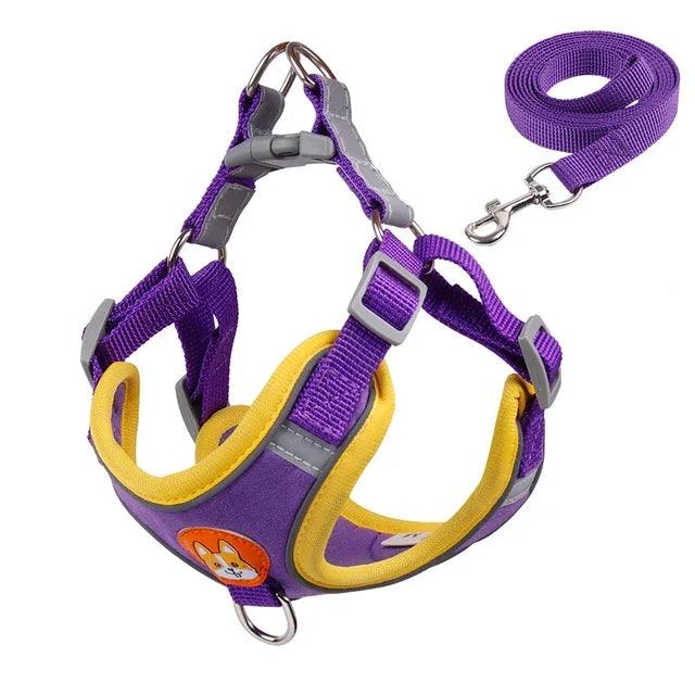 Reflective Dog Harness & Leash
