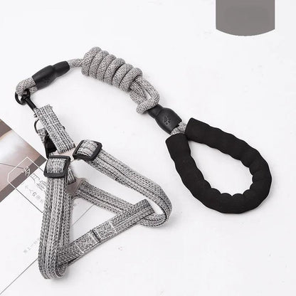 Adjustable Dog Harness Set
