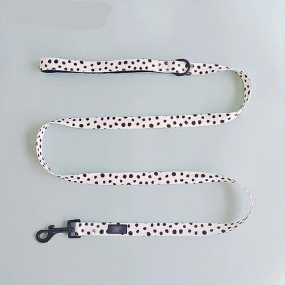 4-in-1 Pet Harness Set