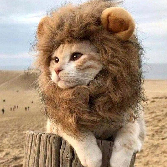 Lion Mane Wig for Pets