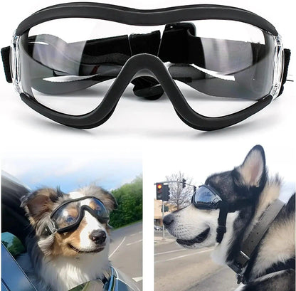 Anti-Fog Dog Snow Goggles