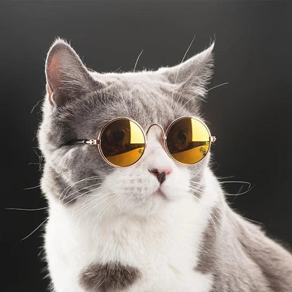 Retro Pet Sunglasses for Style