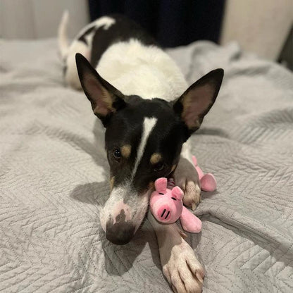 Squeaky Plush Chew Toy