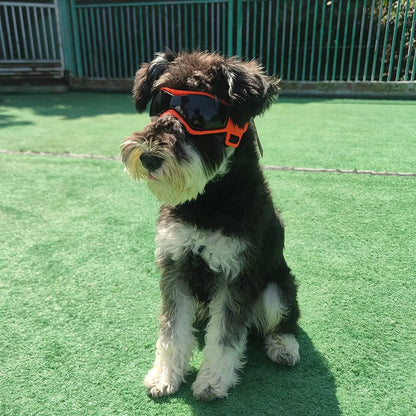 Cool Dog & Cat Sunglasses