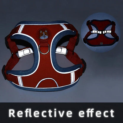 Reflective Dog Harness & Leash