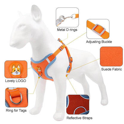 No Pull Dog Harness Set
