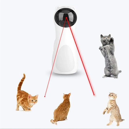 Multi-Angle LED Cat Toy
