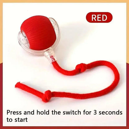 Smart Interactive Dog Ball