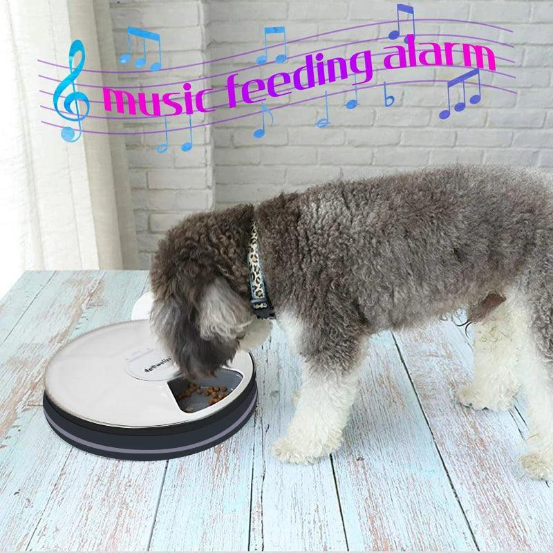 6-Meal Automatic Pet Feeder